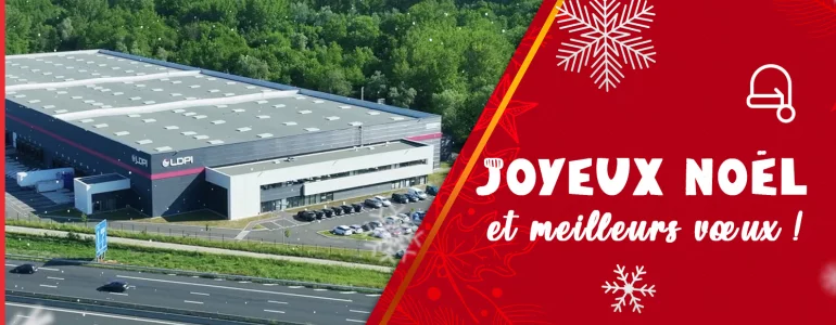 LDPI vous souhaite de belles fêtes de fin d’année